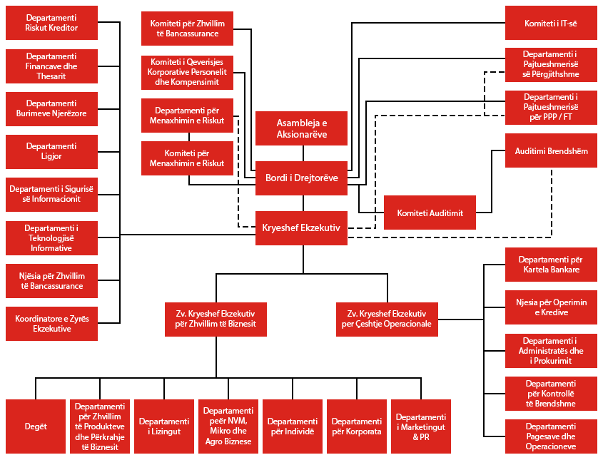 Organizational Chart of the Bank